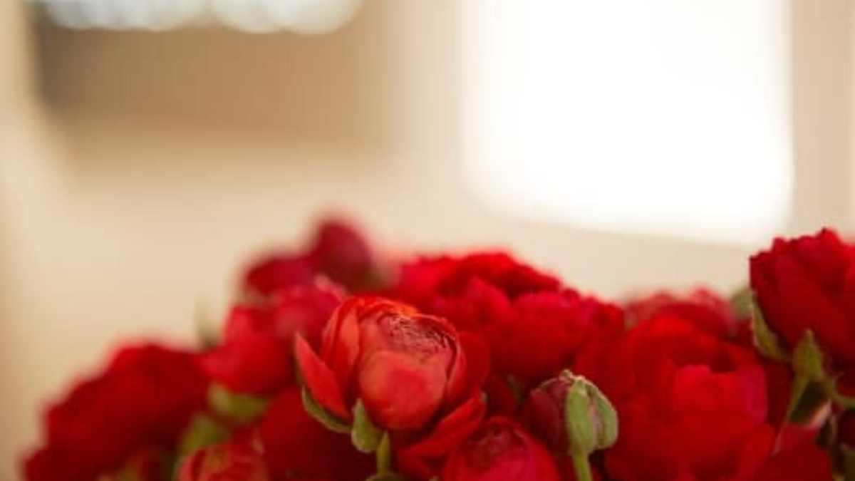 Hautpflege und Hautbedürfnisse Blog FALTENFEE® Privatpraxis für Ästhetische Medizin in Dortmund Hautpflege und Hautbedürfnisse Blog FALTENFEE® Privatpraxis für Ästhetische Medizin in Dortmund